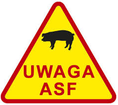 Uwaga ASF